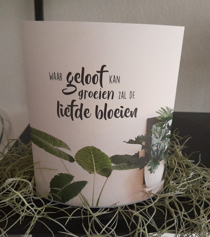 Lichtje voor jou - Waar geloof kan groeien…