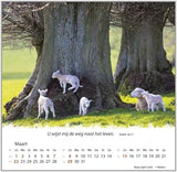 Kalender 2027; Een leven