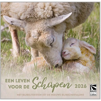 Kalender 2026- een leven voor de schapen