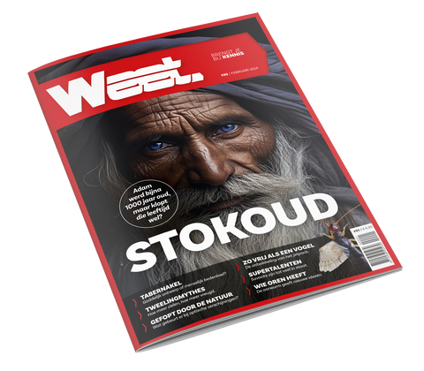 Weet magazine nr. 85 - Stokoud