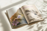 VillaVie zomerboek - 2026