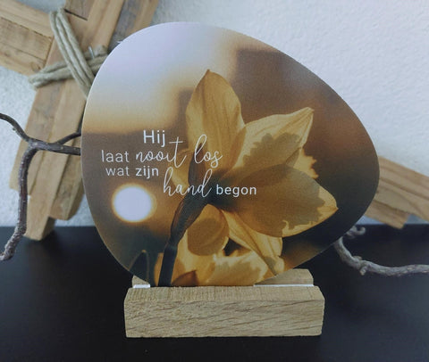 Rotsje voor jou - Hij laat nooit los wat Zijn hand begon.