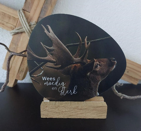 rotsje voor jou - wees moedig en sterk