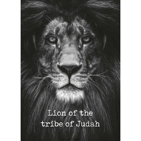 Metal deco A3 'Lion of the tribe of Judah'
